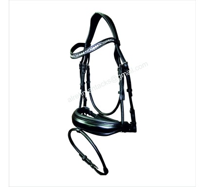 Leather Bridle 